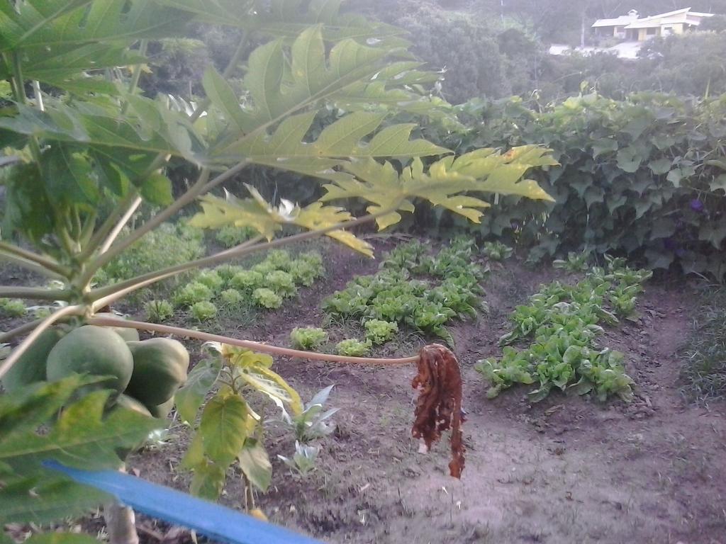 Pousada Complexo Cantagalo Sao Tome das Letras Ngoại thất bức ảnh